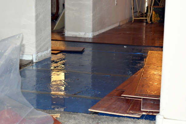 Professional Flood Cleanup technician working in Elk Grove Village, IL